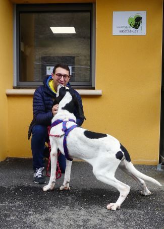 13 03 21 pongo adopted ready to leave 1 ed