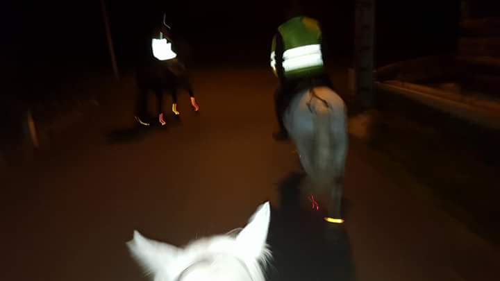 Fb img 1507718398153