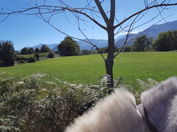 Fb img 1537730518970