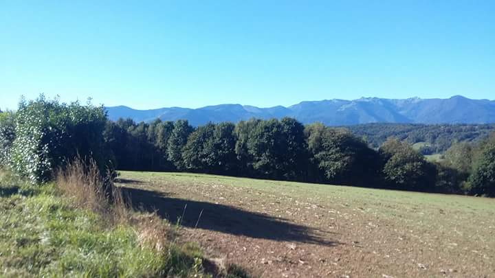 Fb img 1537730278815