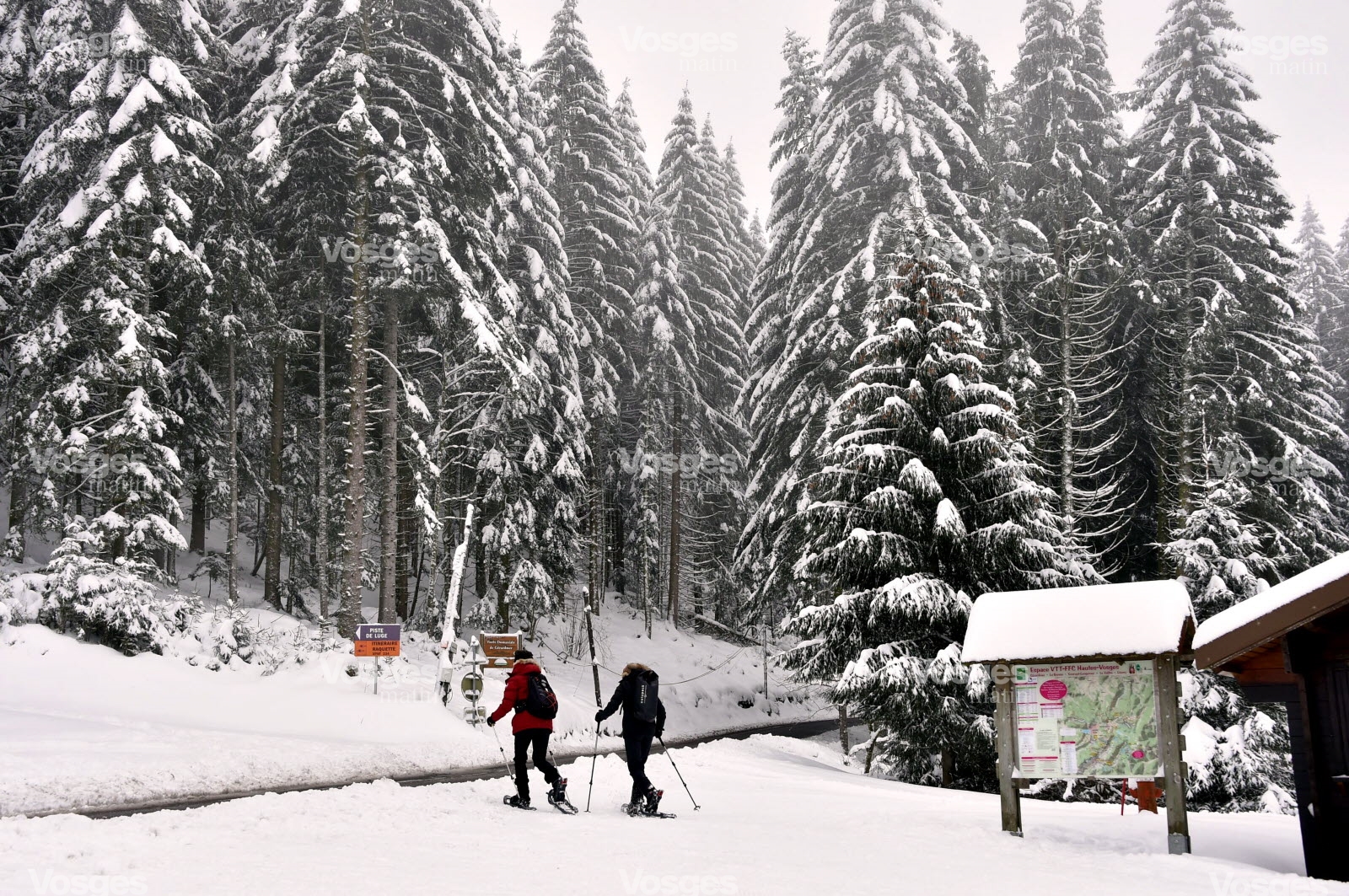 Gerardmer ambiance sur les pistes du domaine de ski nordique des bas rupts photo eric thiebaut 1547134419