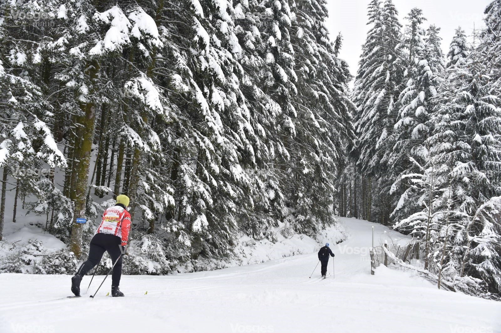 Gerardmer ambiance sur les pistes du domaine de ski nordique des bfreferas rupts photo eric thiebaut 1547134419