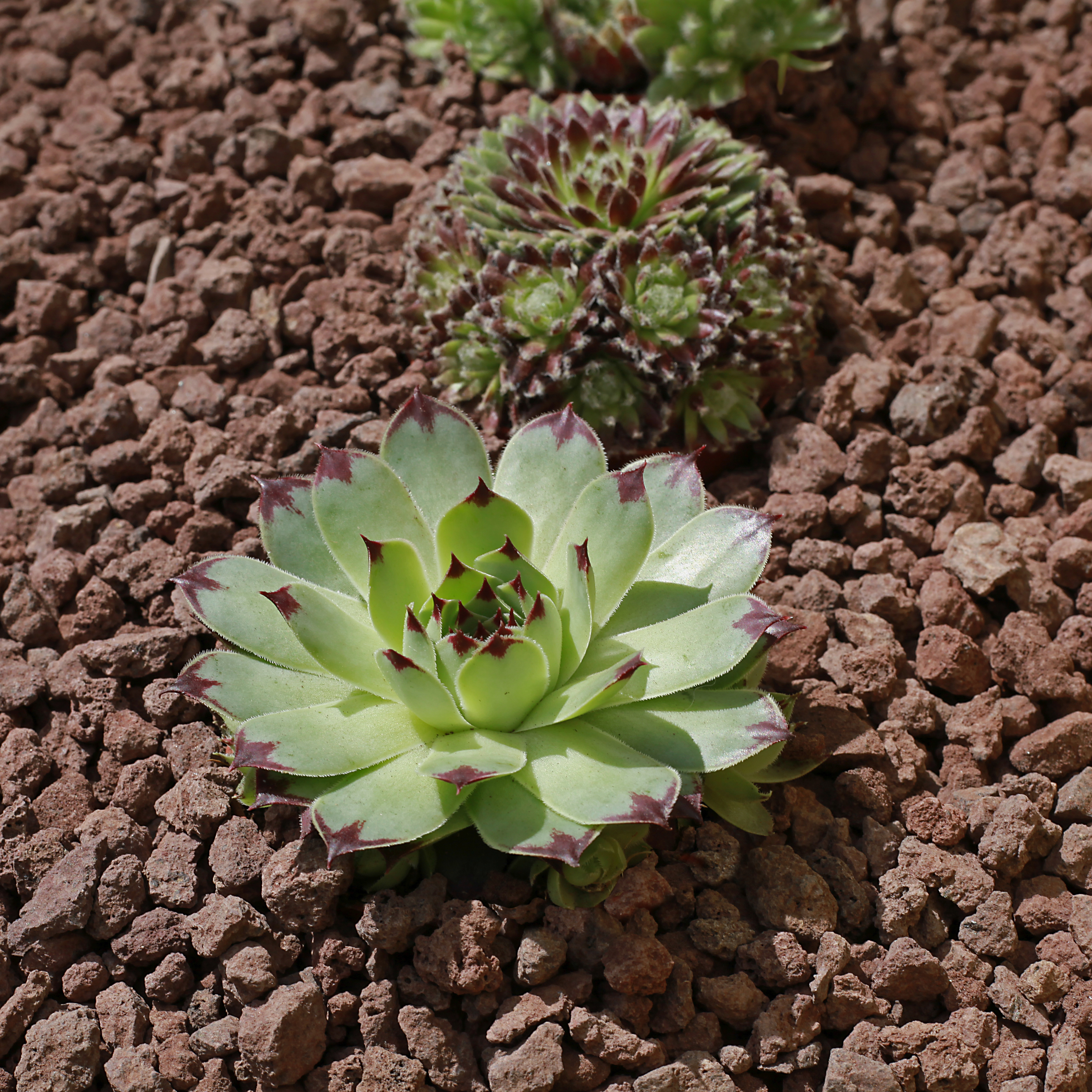 Adobestock 341308888