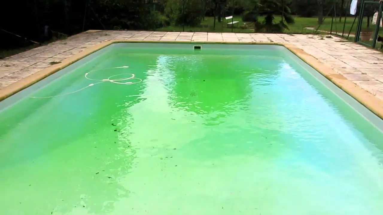 Eau verte de piscine : traiter et éliminer les algues