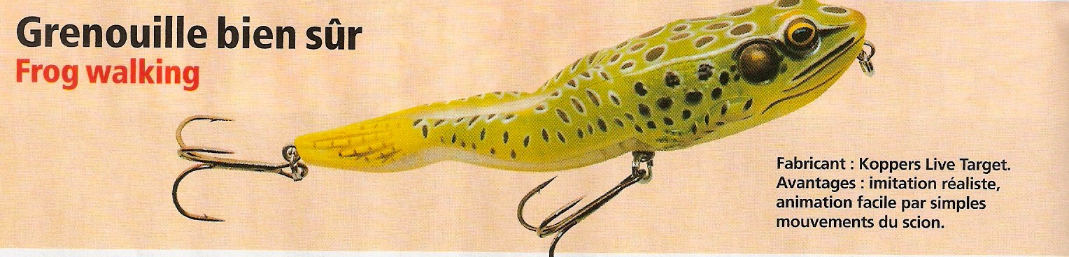 Le pecheur de france koppers 1