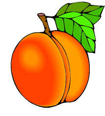 Abricot