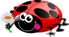 Cocococ