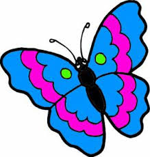 Papapillon