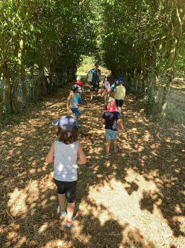 Animation et ateliers à la ferme : La fabrication du pain cuit au feu de bois, Apprendre le jardinage, Le jeu de piste dans la ferme, La découverte de la mare, Les pommiers, Observation de la nature, Les Soins aux animaux, La Transformation du lait, Les mini camps, Les feu de camps
