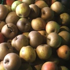 Pommes boskoop
