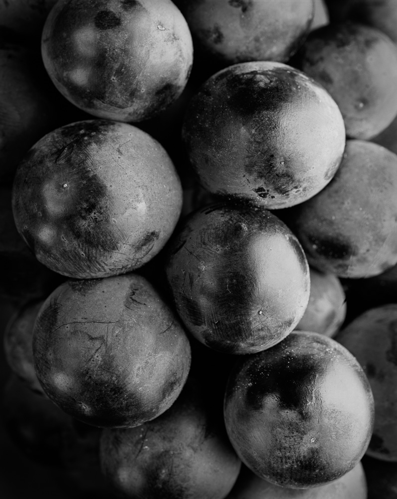 Portfolio nm  raisins