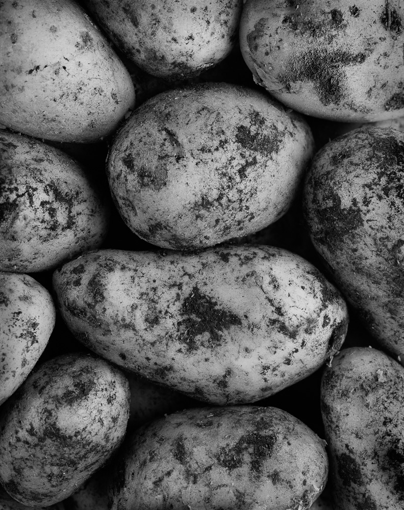 Portfolio nm  pommesdeterre