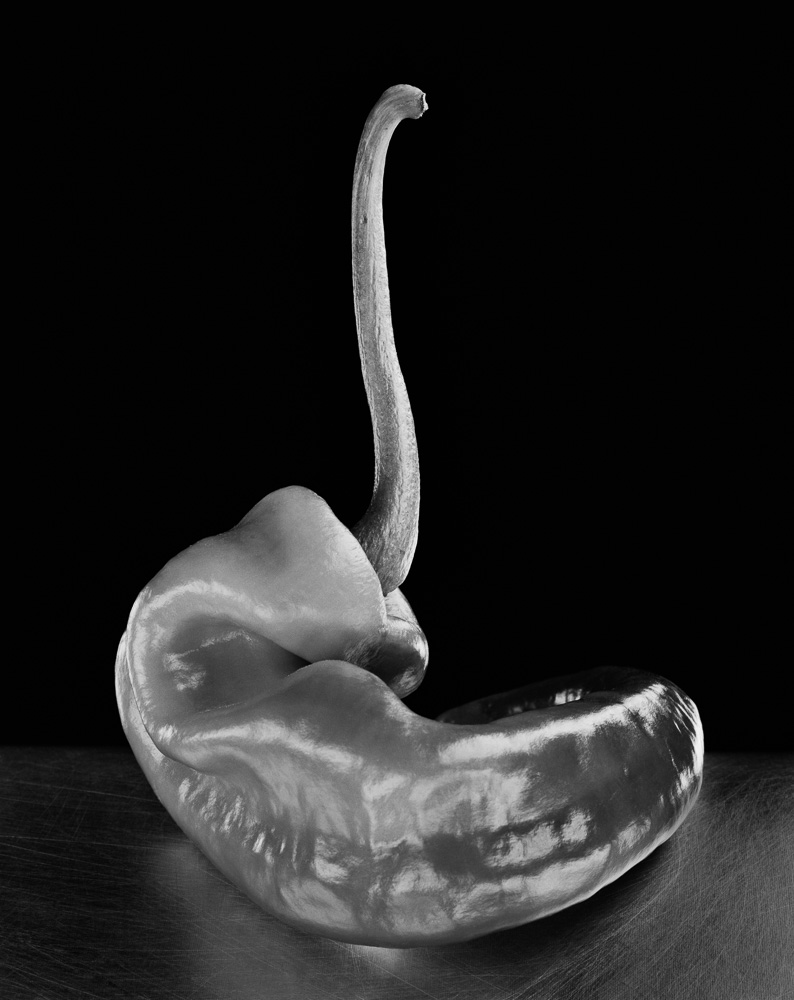 Portfolio nm  pimentespelette