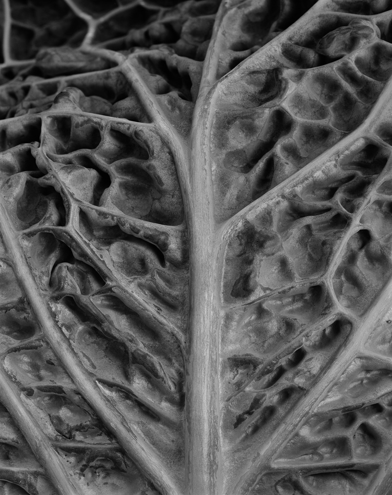 Portfolio nm  chouvert