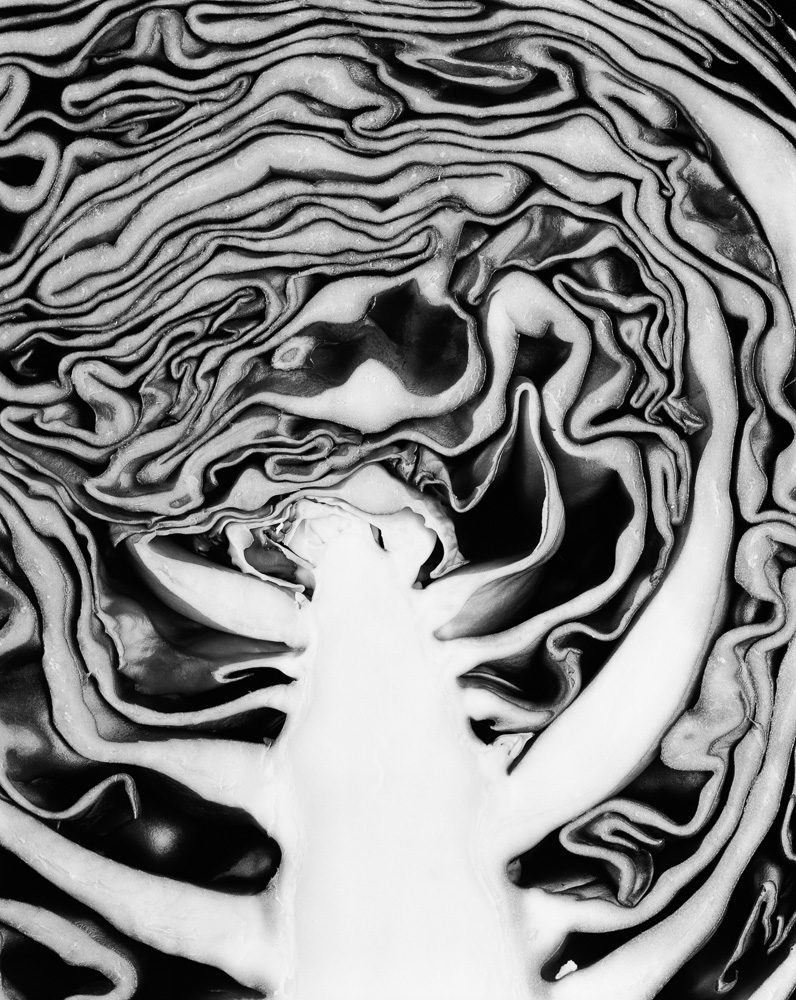 Portfolio nm  chourouge