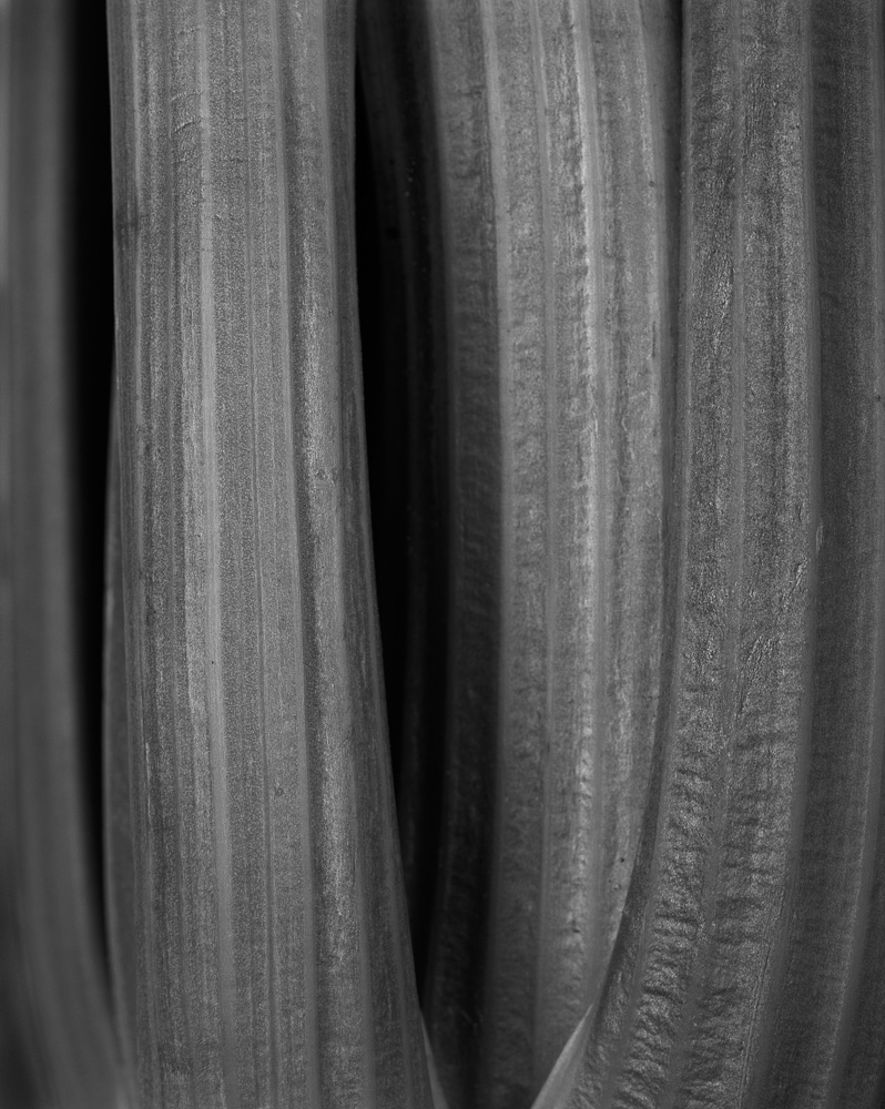 Portfolio nm  celeri