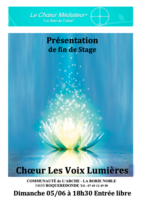 Pre sentation voix lumie res la borie 2022