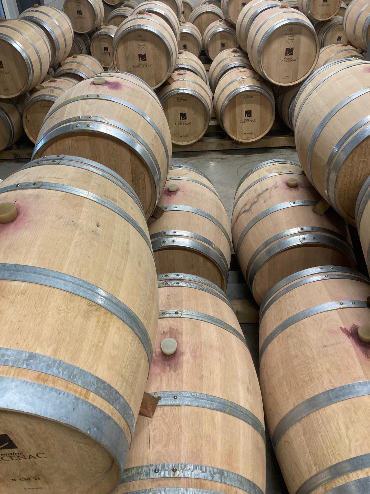 Domaine de carcenac 23 11 2024 10 