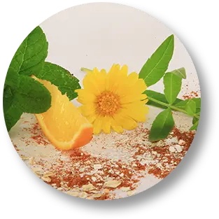 savons aux ingredients biologiques