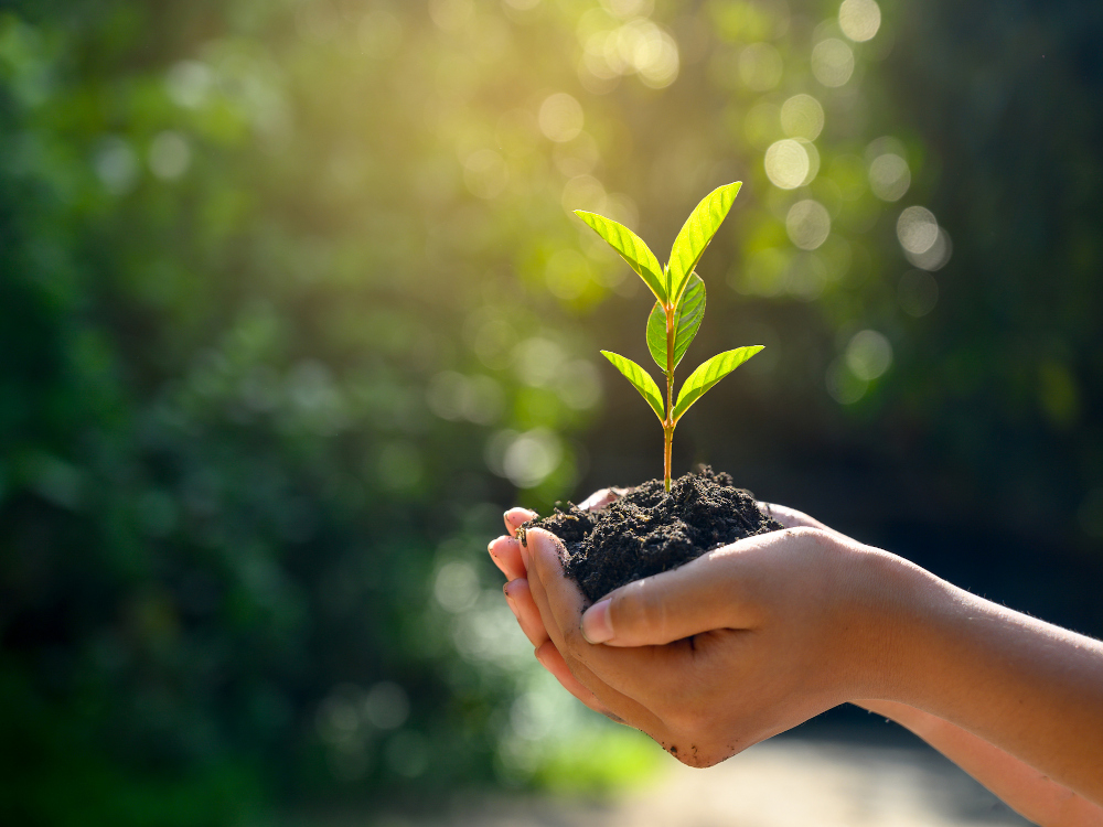 IStock-engagement-environnement-fixart