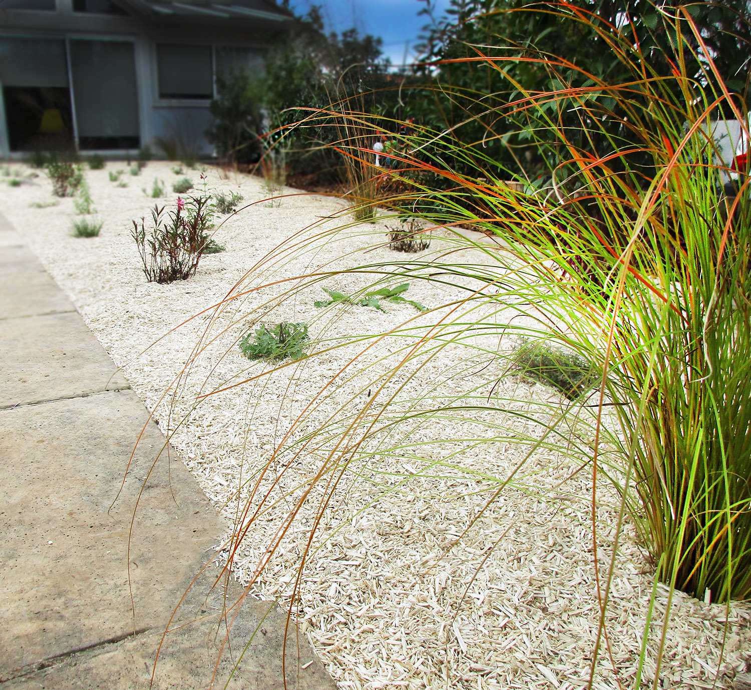 Le Paillage: un atout essentiel pour votre jardin 