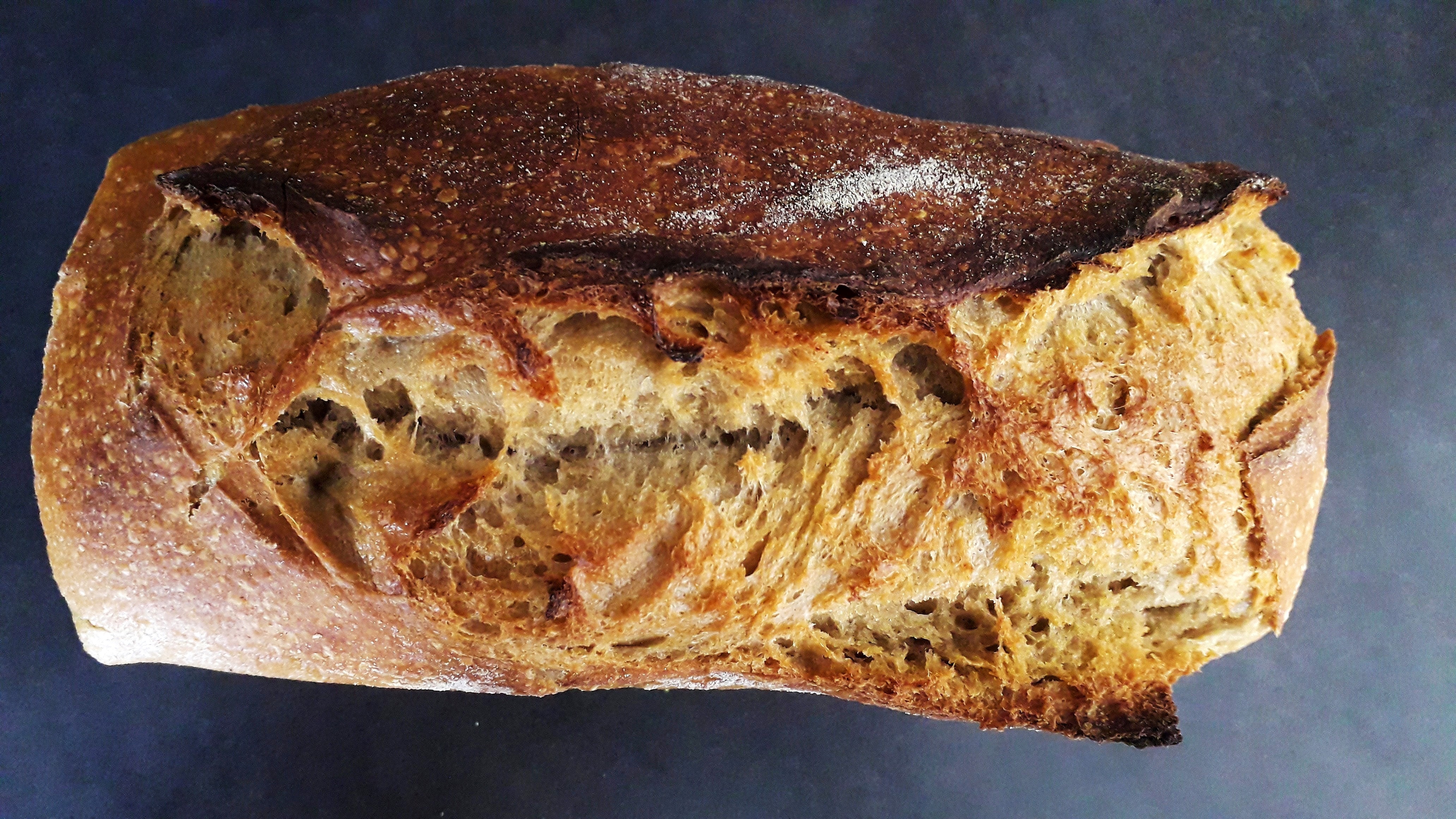 Petit pain nature moule 7 favorite