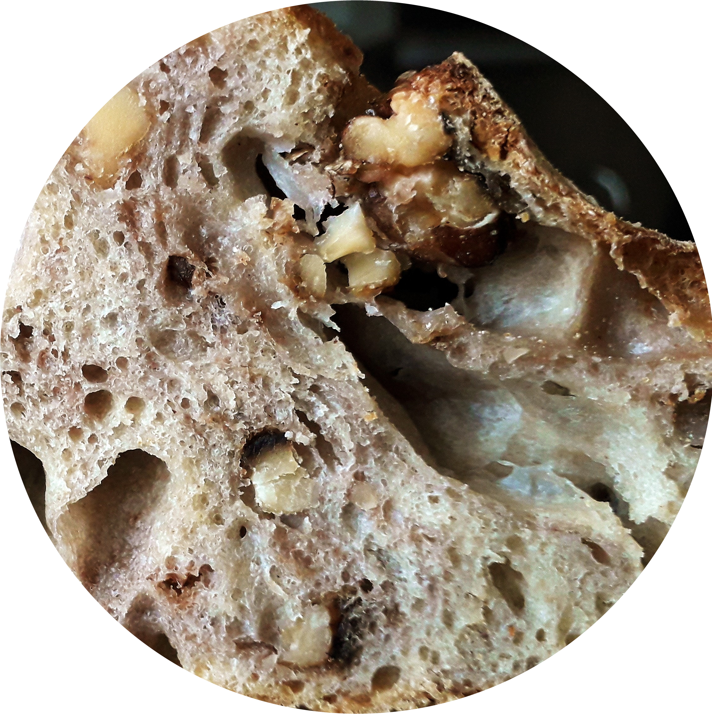 Pain-aux-noix-3-