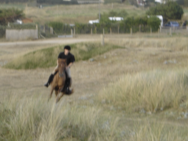 Paloma au galop dans les dunes 2