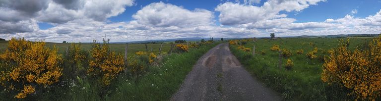 W 1920 509 pano aubrac 1