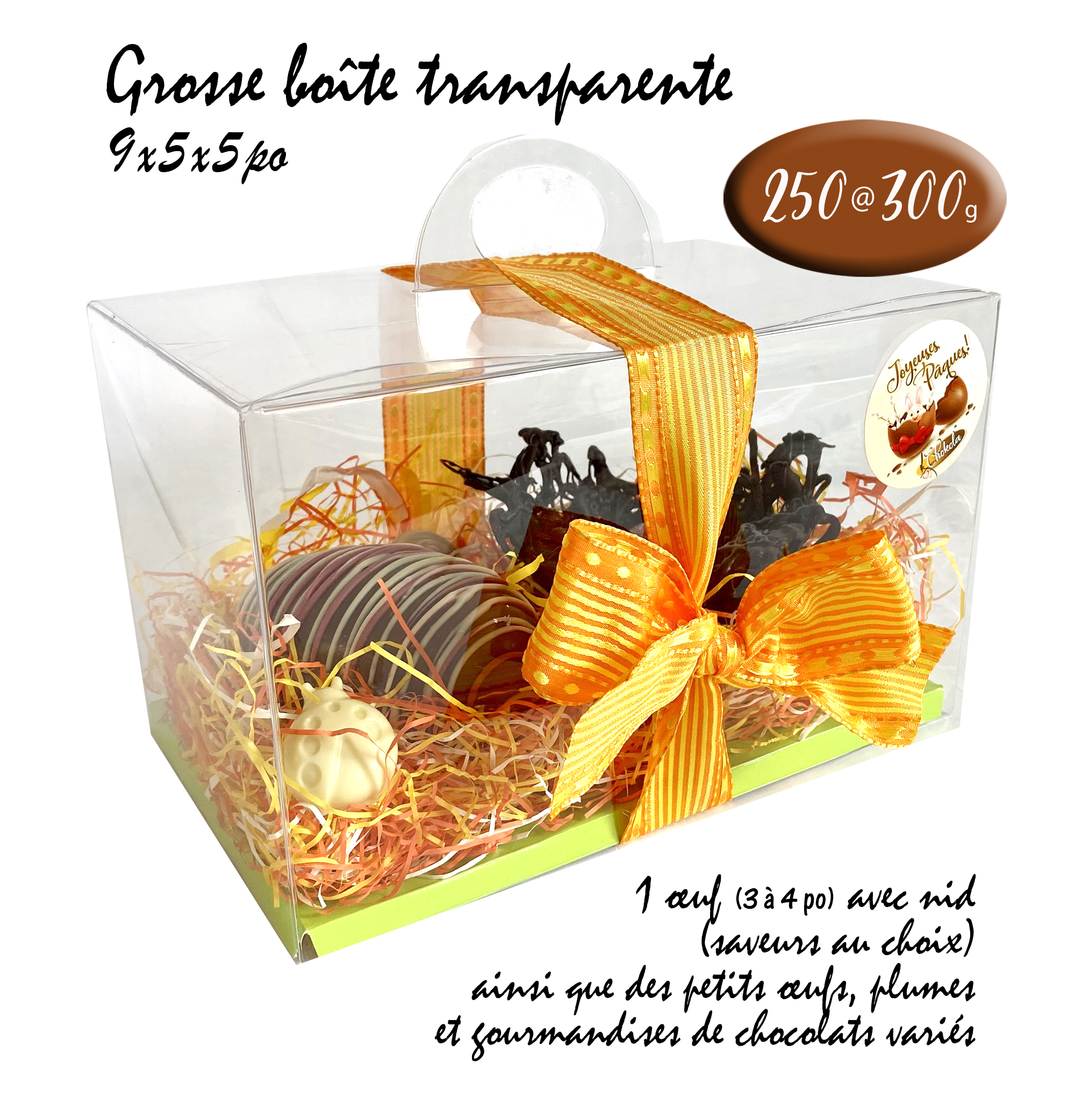 Grosse-boite-Oeuf-Nid-2026