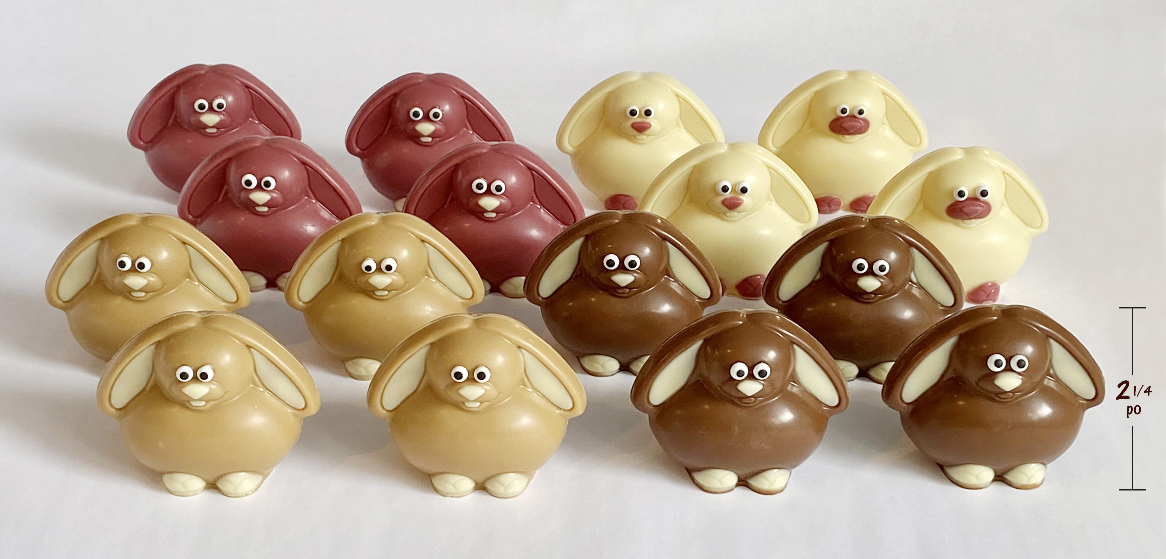 IMG 0893 lapinots-2023 mesures