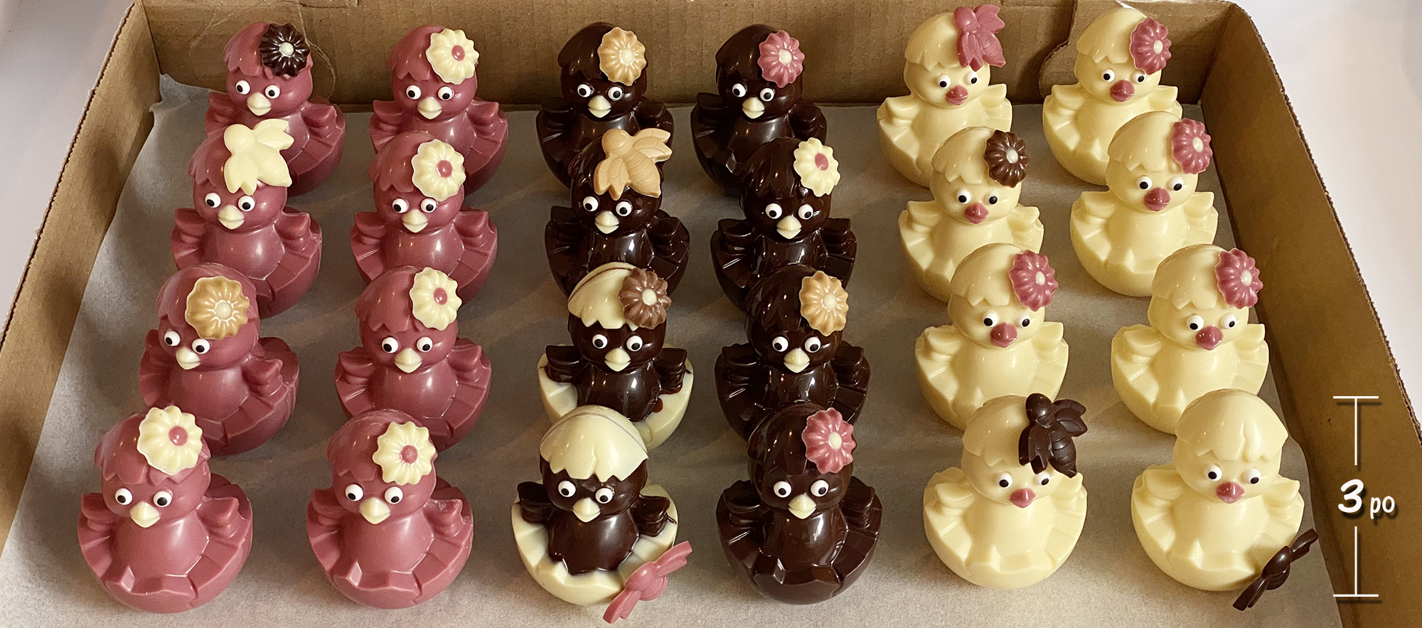 Poussins IMG 0882 mesures