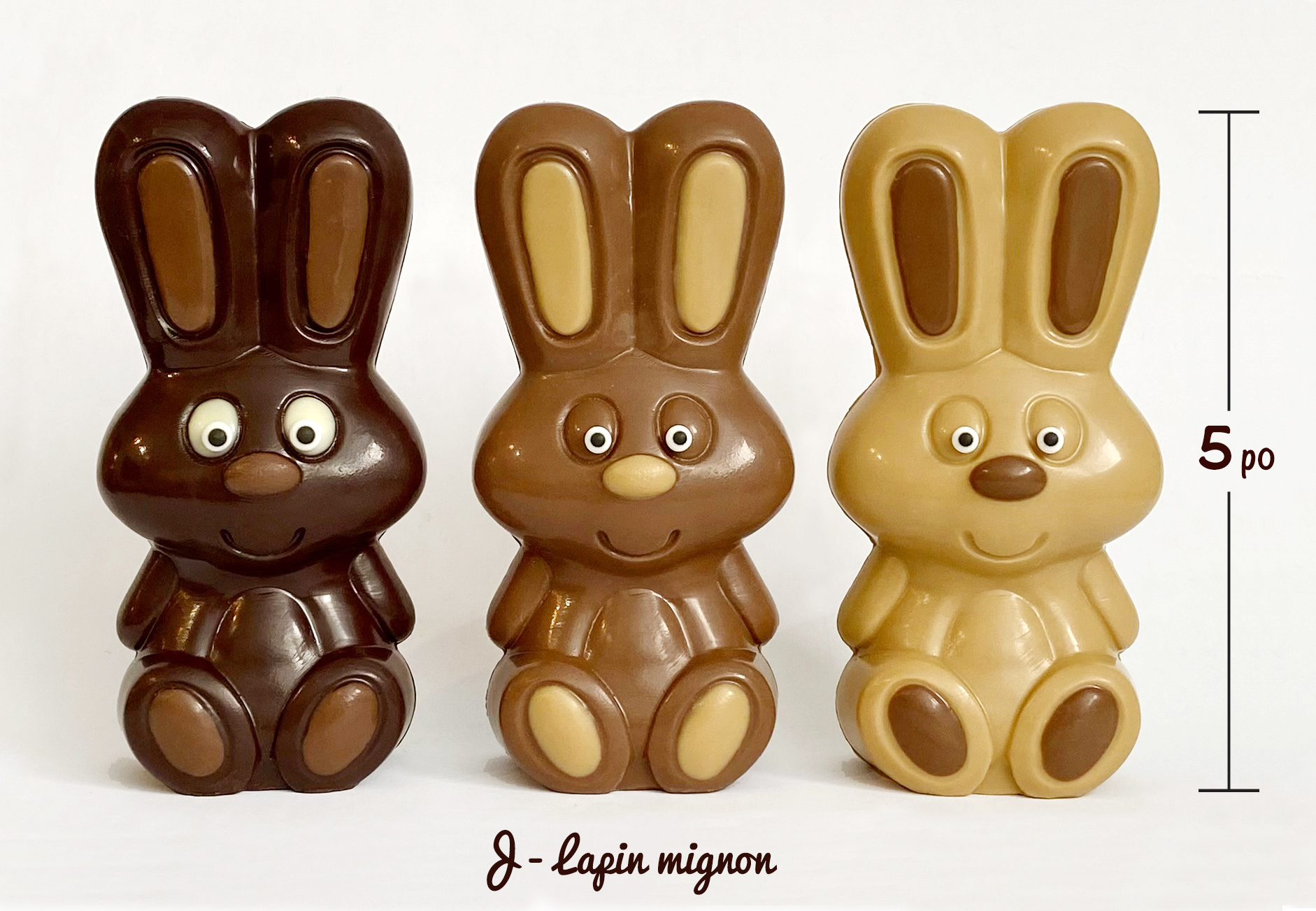 3-lapins IMG 9128 5po-Nom