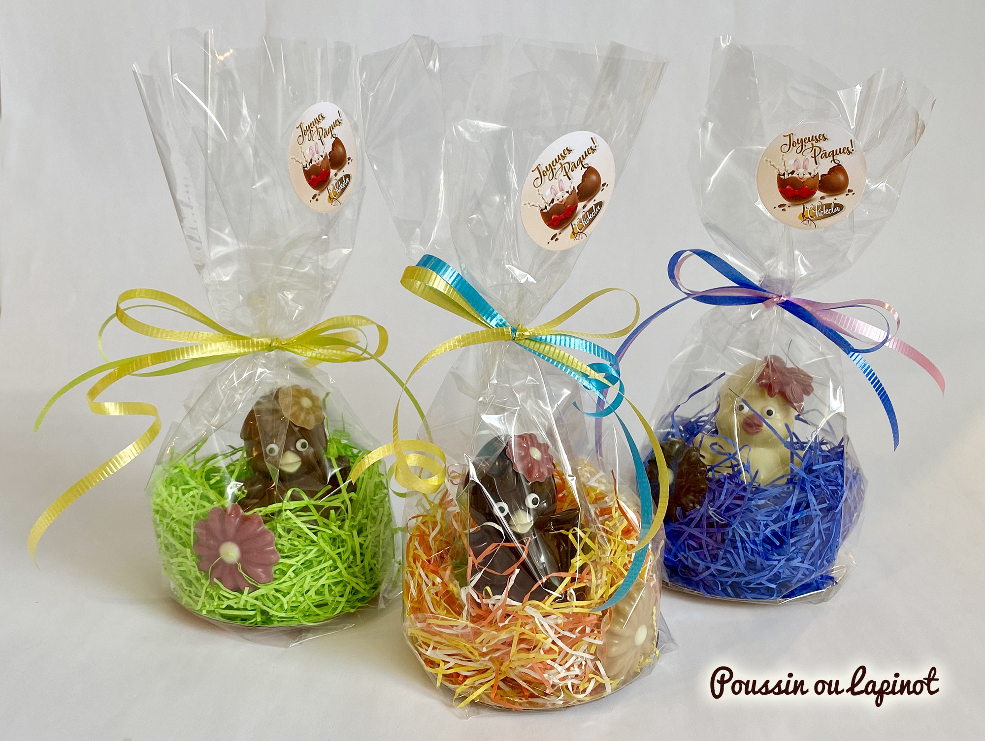 Petits-sacs-Nom sans-prix