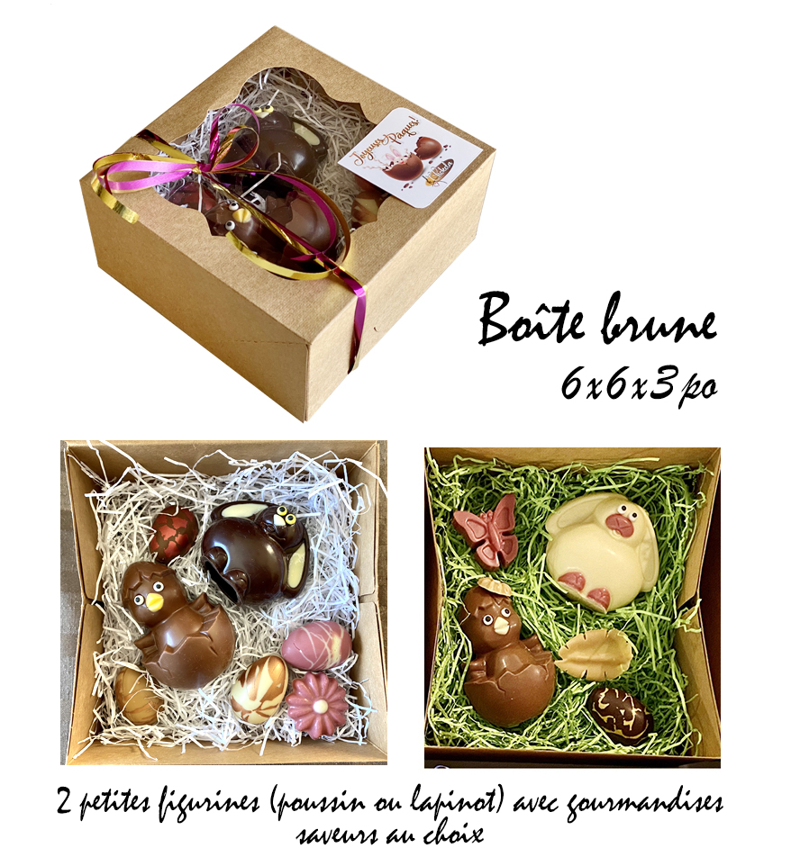 Boite-brune-poussins tx-sans-prix