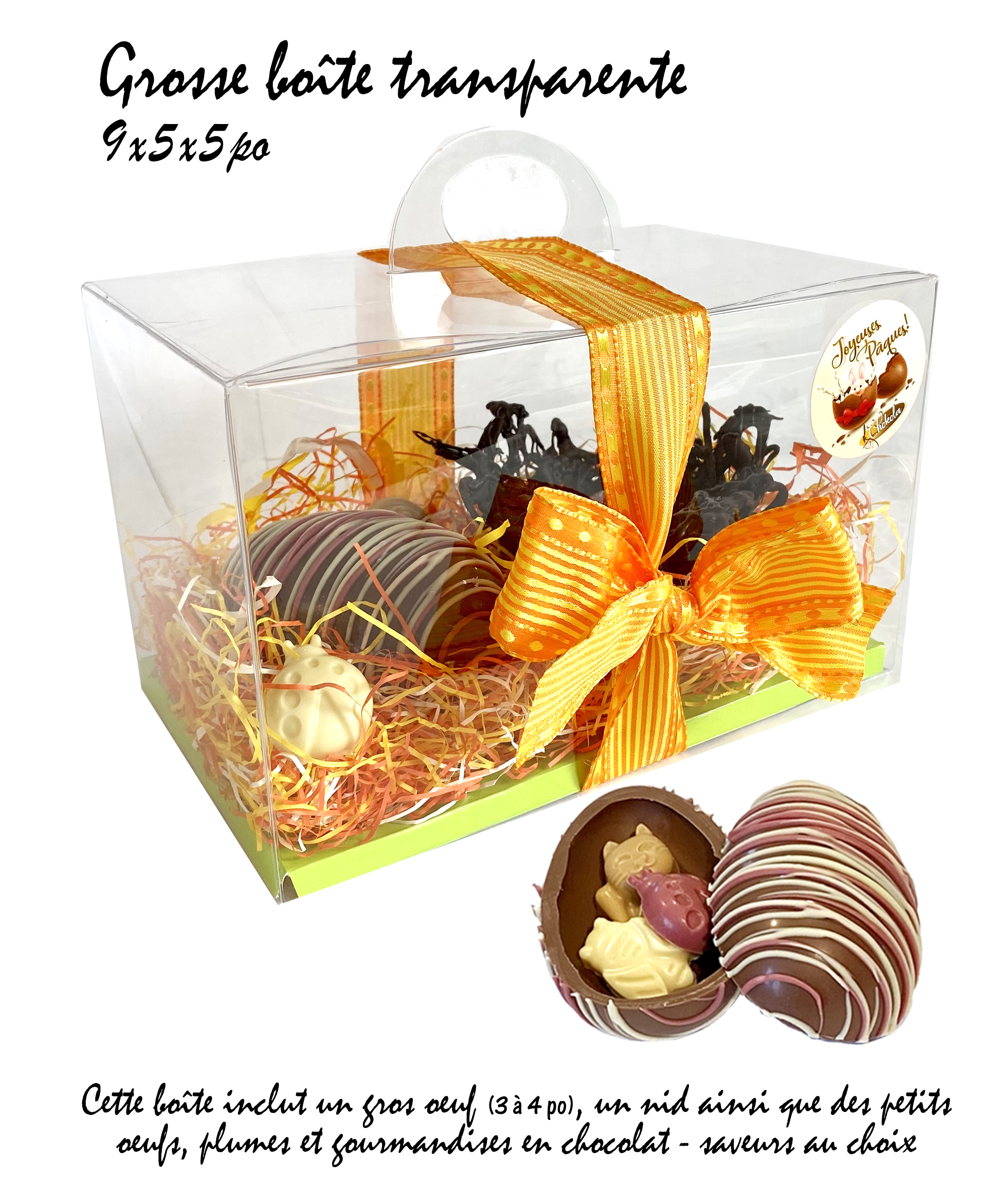 Grosse-boite-Oeuf-Nid-sans-prix
