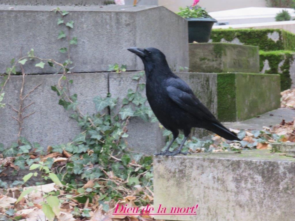 26 le pere lachaise 5 