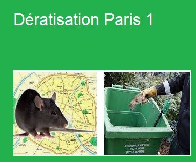 Dératisation Paris 1