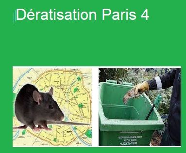 Dératisation Paris 4