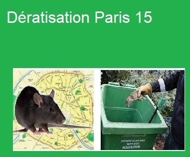 Dératisation Paris 15
