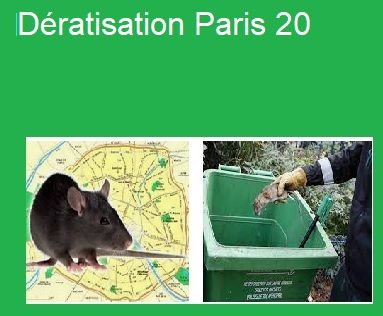 Dératisation Paris 20
