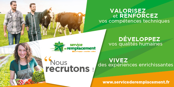 Service-de-Remplacement