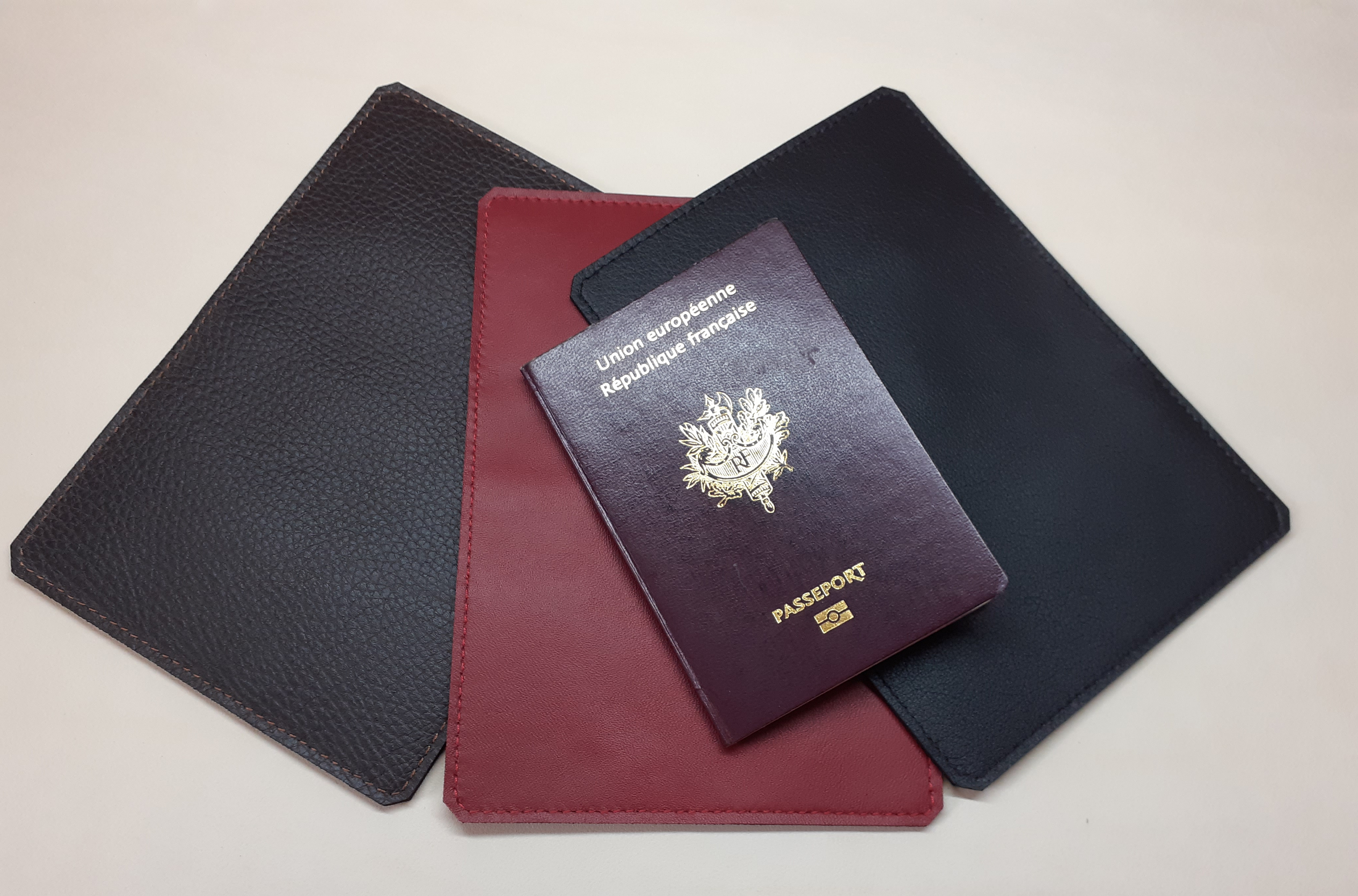 Passport1