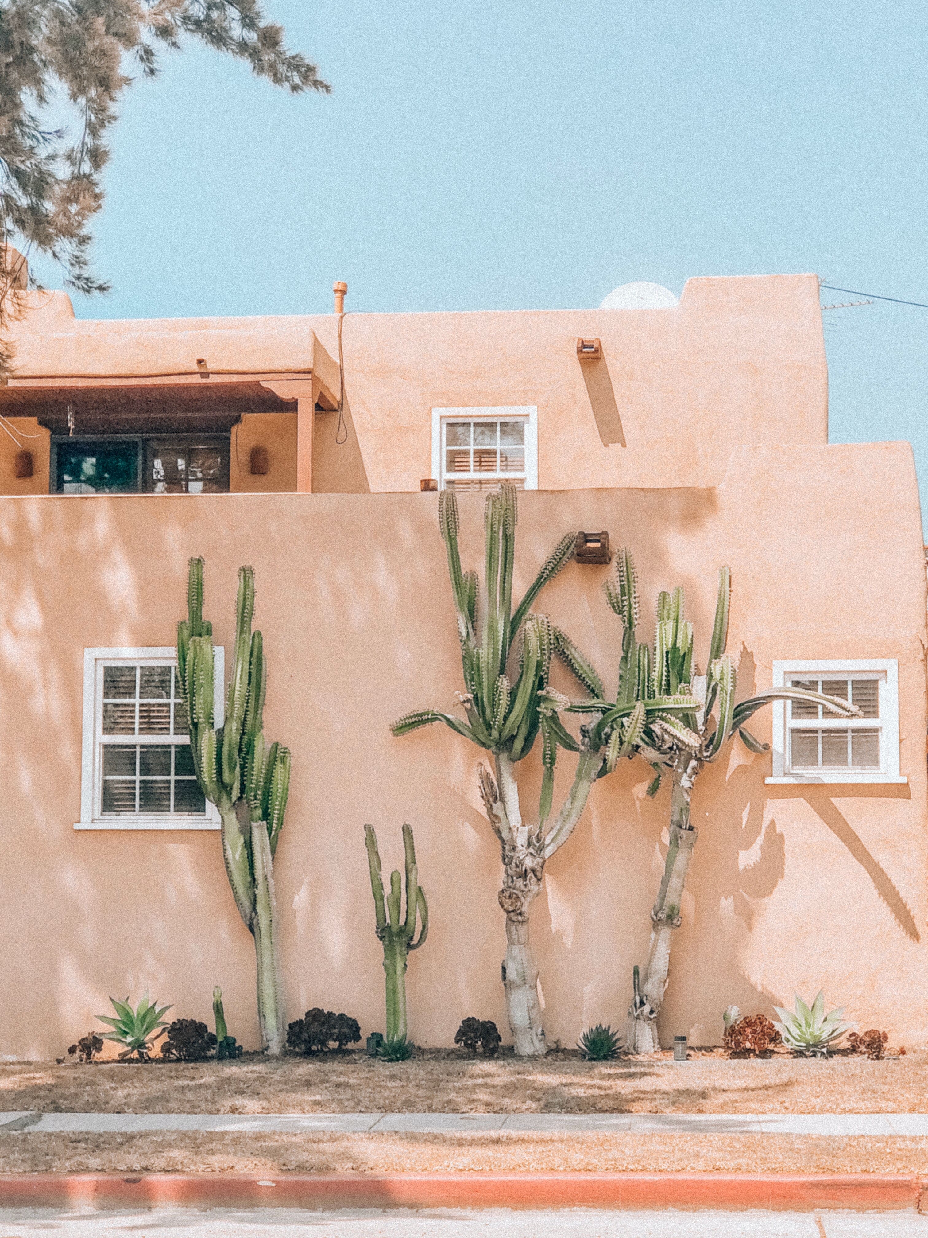Viviana-rishe-ear8VOL7x8k-unsplash