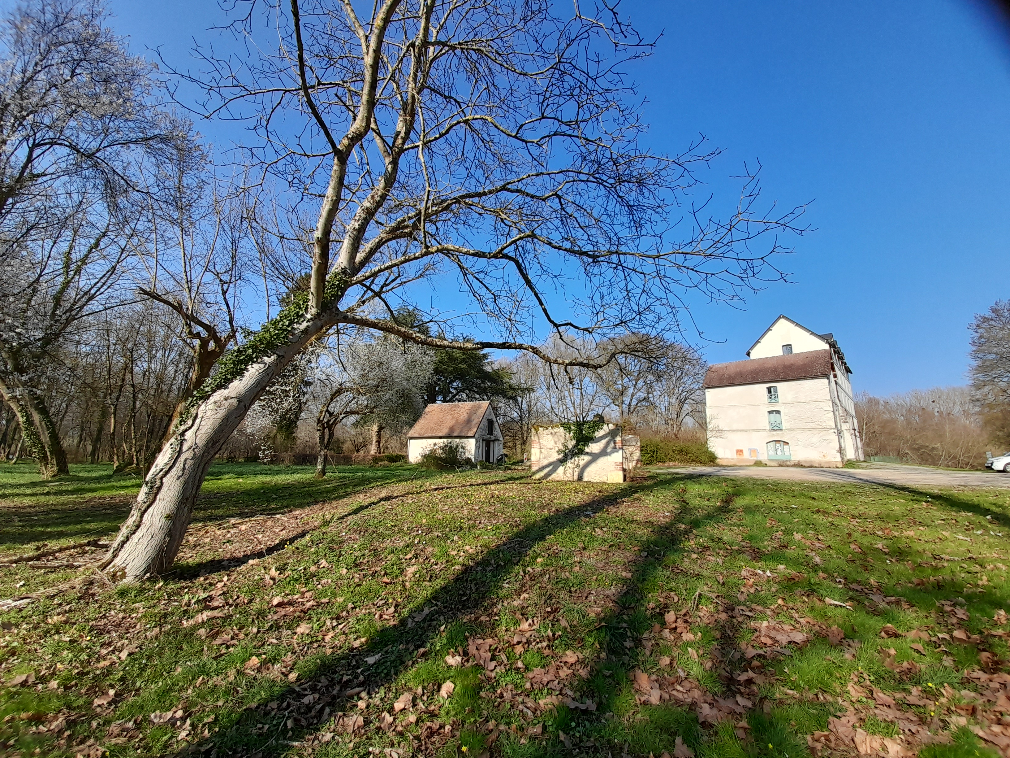 Le moulin 6