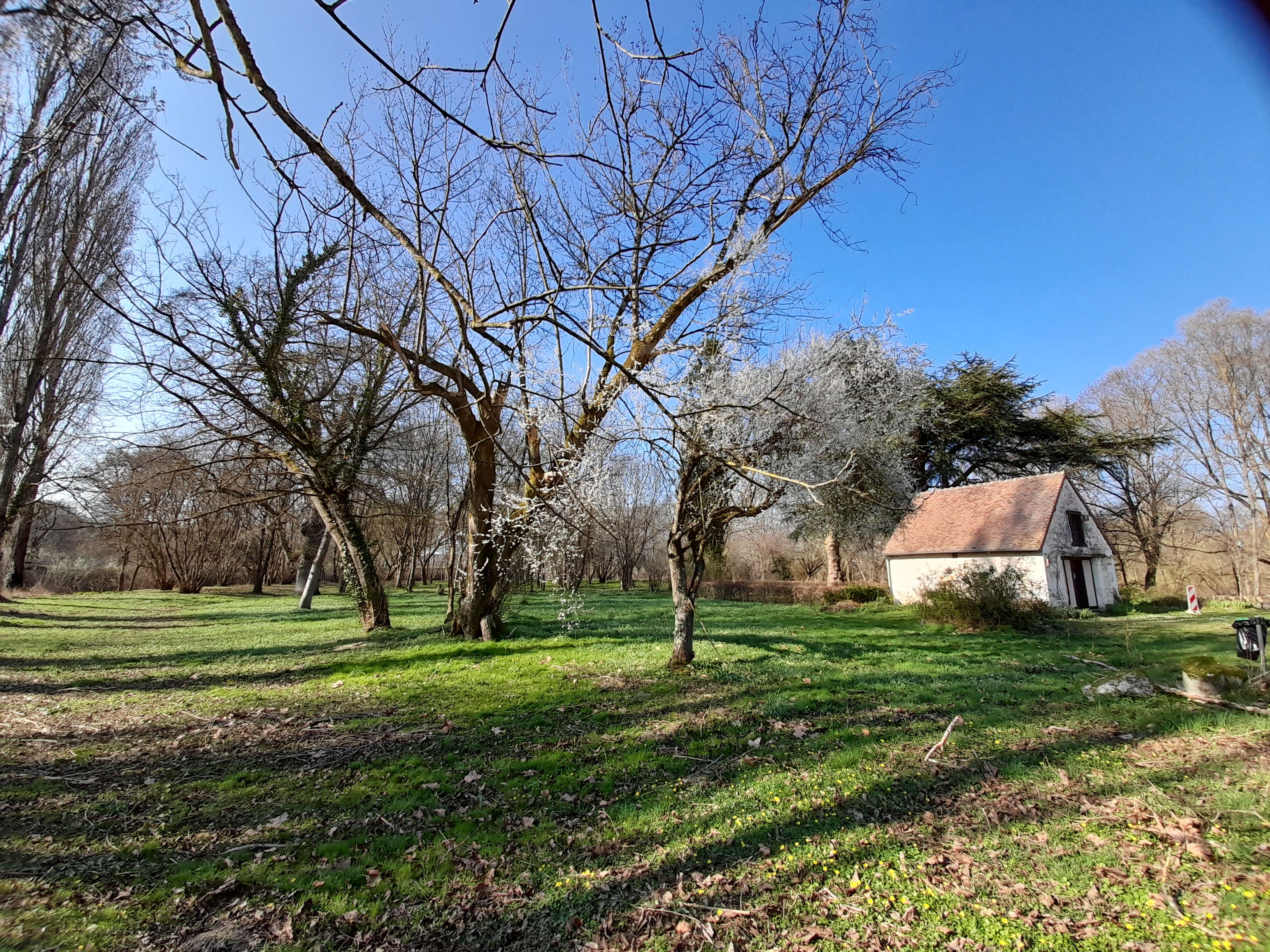 Le moulin 7