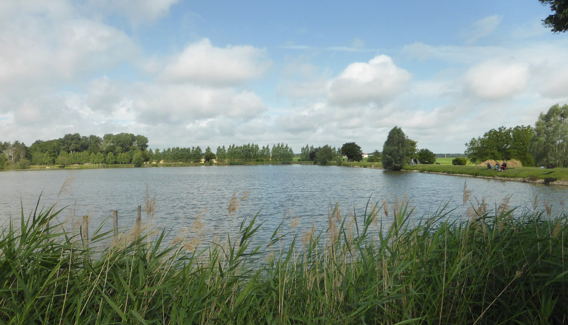 Banniere etang communal 3