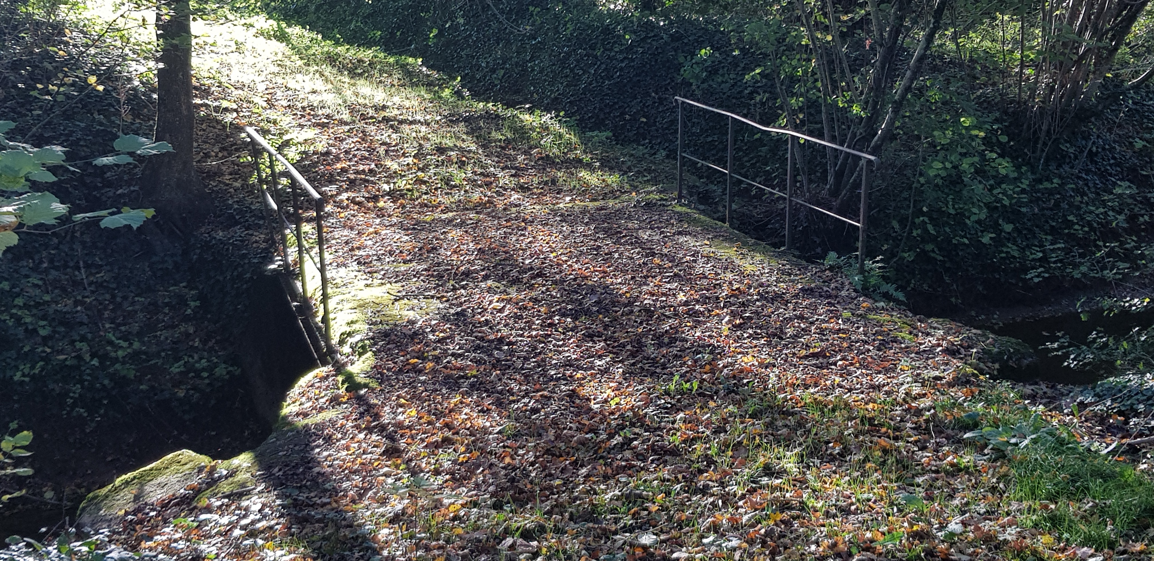 Passerelle st cyprien