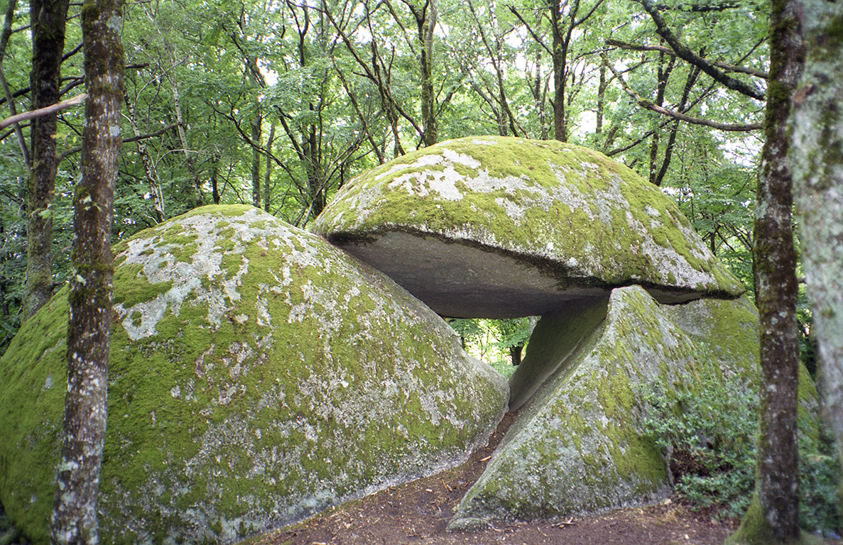 200308017