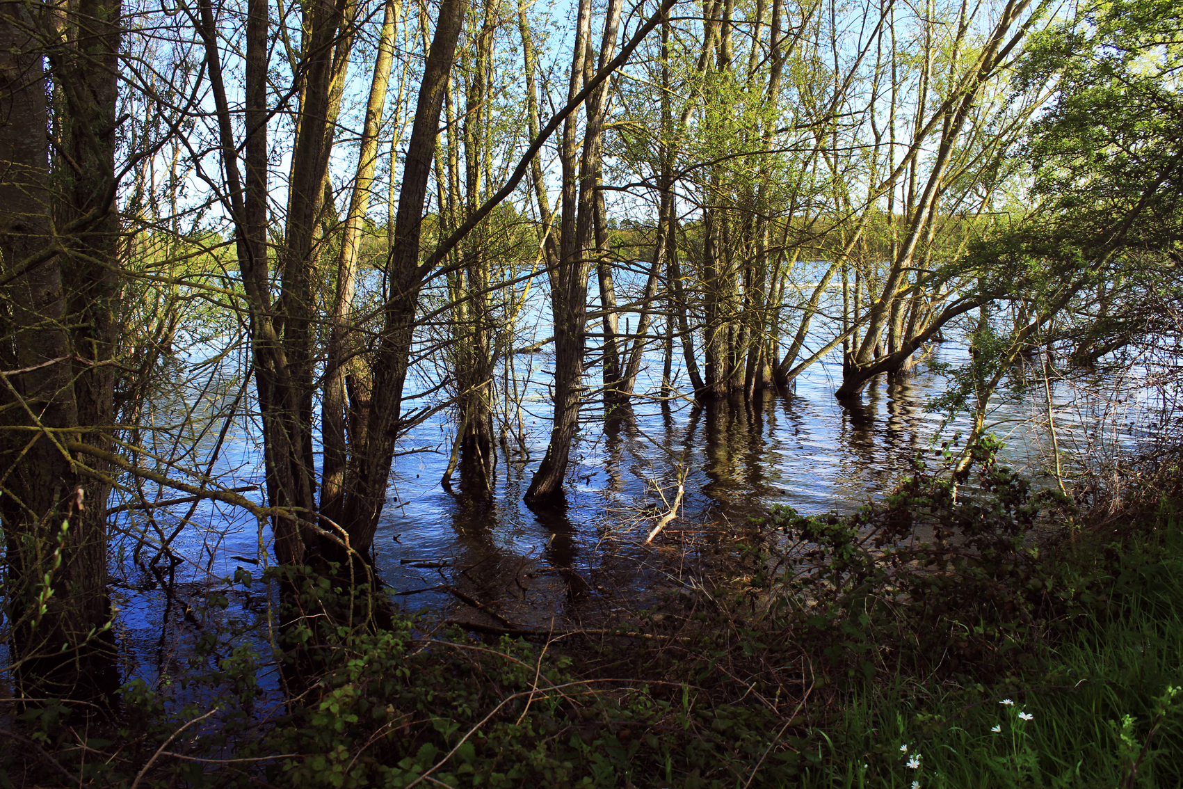 Paysage4